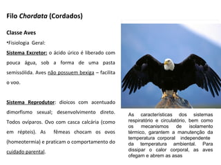 Filo Chordata (Cordados)
Classe Aves
•Fisiologia Geral:
Sistema Excretor: o ácido úrico é liberado com
pouca água, sob a forma de uma pasta
semissólida. Aves não possuem bexiga – facilita
o voo.
Sistema Reprodutor: dioicos com acentuado
dimorfismo sexual; desenvolvimento direto.
Todos ovíparos. Ovo com casca calcária (como
em répteis). As fêmeas chocam os ovos
(homeotermia) e praticam o comportamento do
cuidado parental.
As características dos sistemas
respiratório e circulatório, bem como
os mecanismos de isolamento
térmico, garantem a manutenção da
temperatura corporal independente
da temperatura ambiental. Para
dissipar o calor corporal, as aves
ofegam e abrem as asas
 