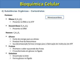 Bioquímica CelularBioquímica Celular
4) Substâncias Orgânicas - Carboidratos
Pentoses
 Ribose (C5H10O5)
o Presente no RNA e no ATP
 Desoxirribose (C5H10O4)
o Presente no DNA
Hexoses C6H12O6
 Glicose
o Fonte de energia para as células
o Produto final da fotossíntese
o Sua decomposição fornece energia para a fabricação de moléculas de ATP
 Frutose
o Promove o sabor açucarado das frutas
o É transformada em glicose no fígado
 Galactose
o Encontrada no leite
o Forma glicose no fígado
Monossacarídeos
 