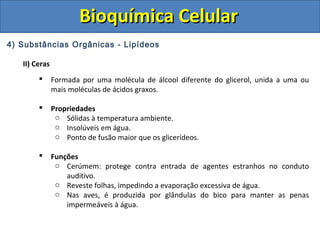 Bioquímica CelularBioquímica Celular
4) Substâncias Orgânicas - Lipídeos
II) Ceras
 Formada por uma molécula de álcool diferente do glicerol, unida a uma ou
mais moléculas de ácidos graxos.
 Propriedades
o Sólidas à temperatura ambiente.
o Insolúveis em água.
o Ponto de fusão maior que os glicerídeos.
 Funções
o Cerúmem: protege contra entrada de agentes estranhos no conduto
auditivo.
o Reveste folhas, impedindo a evaporação excessiva de água.
o Nas aves, é produzida por glândulas do bico para manter as penas
impermeáveis à água.
 