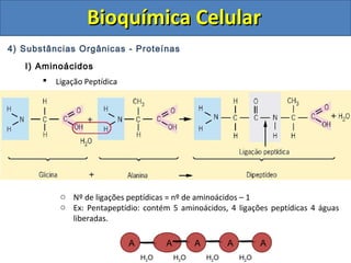 Bioquímica CelularBioquímica Celular
4) Substâncias Orgânicas - Proteínas
I) Aminoácidos
 Ligação Peptídica
o Nº de ligações peptídicas = nº de aminoácidos – 1
o Ex: Pentapeptídio: contém 5 aminoácidos, 4 ligações peptídicas 4 águas
liberadas.
A A A A A
H2O H2O H2O H2O
 
