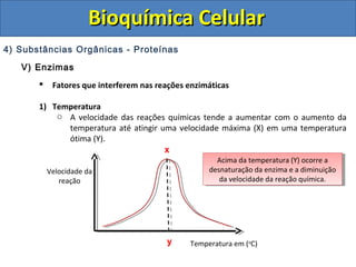 Bioquímica CelularBioquímica Celular
4) Substâncias Orgânicas - Proteínas
V) Enzimas
 Fatores que interferem nas reações enzimáticas
1) Temperatura
o A velocidade das reações químicas tende a aumentar com o aumento da
temperatura até atingir uma velocidade máxima (X) em uma temperatura
ótima (Y).
x
y
Velocidade da
reação
Temperatura em (o
C)
Acima da temperatura (Y) ocorre a
desnaturação da enzima e a diminuição
da velocidade da reação química.
Acima da temperatura (Y) ocorre a
desnaturação da enzima e a diminuição
da velocidade da reação química.
 