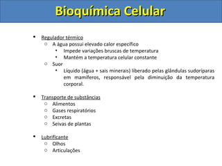 Bioquímica CelularBioquímica Celular
 Regulador térmico
o A água possui elevado calor específico
• Impede variações bruscas de temperatura
• Mantém a temperatura celular constante
o Suor
• Líquido (água + sais minerais) liberado pelas glândulas sudoríparas
em mamíferos, responsável pela diminuição da temperatura
corporal.
 Transporte de substâncias
o Alimentos
o Gases respiratórios
o Excretas
o Seivas de plantas
 Lubrificante
o Olhos
o Articulações
 