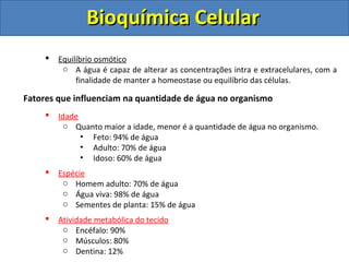 Bioquímica CelularBioquímica Celular
 Equilíbrio osmótico
o A água é capaz de alterar as concentrações intra e extracelulares, com a
finalidade de manter a homeostase ou equilíbrio das células.
Fatores que influenciam na quantidade de água no organismo
 Idade
o Quanto maior a idade, menor é a quantidade de água no organismo.
• Feto: 94% de água
• Adulto: 70% de água
• Idoso: 60% de água
 Espécie
o Homem adulto: 70% de água
o Água viva: 98% de água
o Sementes de planta: 15% de água
 Atividade metabólica do tecido
o Encéfalo: 90%
o Músculos: 80%
o Dentina: 12%
 