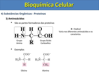 Bioquímica Celular
Bioquímica Celular
4) Substâncias Orgânicas - Proteínas
I) Aminoácidos
 São as partes formadoras das proteínas
 Exemplos
Grupo
Amino
Grupo Ácido
Carboxílico
R = Radical
Varia nos diferentes aminoácidos e os
caracteriza.
Glicina Alanina
 