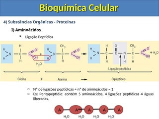 Bioquímica Celular
Bioquímica Celular
4) Substâncias Orgânicas - Proteínas
I) Aminoácidos
 Ligação Peptídica
o Nº de ligações peptídicas = nº de aminoácidos – 1
o Ex: Pentapeptídio: contém 5 aminoácidos, 4 ligações peptídicas 4 águas
liberadas.
A A A A A
H2O H2O H2O H2O
 