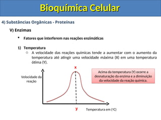 Bioquímica Celular
Bioquímica Celular
4) Substâncias Orgânicas - Proteínas
V) Enzimas
 Fatores que interferem nas reações enzimáticas
1) Temperatura
o A velocidade das reações químicas tende a aumentar com o aumento da
temperatura até atingir uma velocidade máxima (X) em uma temperatura
ótima (Y).
x
y
Velocidade da
reação
Temperatura em (o
C)
Acima da temperatura (Y) ocorre a
desnaturação da enzima e a diminuição
da velocidade da reação química.
 