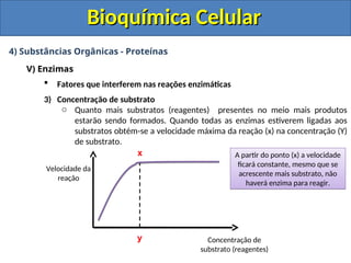 Bioquímica Celular
Bioquímica Celular
4) Substâncias Orgânicas - Proteínas
V) Enzimas
 Fatores que interferem nas reações enzimáticas
3) Concentração de substrato
o Quanto mais substratos (reagentes) presentes no meio mais produtos
estarão sendo formados. Quando todas as enzimas estiverem ligadas aos
substratos obtém-se a velocidade máxima da reação (x) na concentração (Y)
de substrato.
x
y
Velocidade da
reação
Concentração de
substrato (reagentes)
A partir do ponto (x) a velocidade
ficará constante, mesmo que se
acrescente mais substrato, não
haverá enzima para reagir.
 