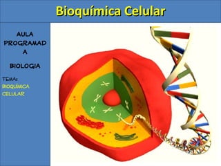 Bioquímica Celular
   Aula
Programad
    a
  Biologia
Tema:
Bioquímica
Celular
 