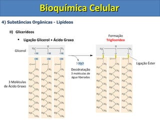 Bioquímica Celular
4) Substâncias Orgânicas - Lipídeos

    II) Glicerídeos
                                                           Formação
            Ligação Glicerol + Ácido Graxo               Triglicerídeo


       Glicerol


                                                                          Ligação Éster
                                         Desidratação
                                         3 moléculas de
                                         água liberadas
    3 Moléculas
 de Ácido Graxo
 