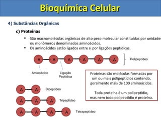 Bioquímica Celular
4) Substâncias Orgânicas

   c) Proteínas
            São macromoléculas orgânicas de alto peso molecular constituídas por unidades
             ou monômeros denominados aminoácidos.
            Os aminoácidos estão ligados entre si por ligações peptídicas.

                 A         A         A           A           A     A         Polipeptídeo



              Aminoácido        Ligação               Proteínas são moléculas formadas por
                               Peptídica
                                                       um ou mais polipeptídios contendo,
                                                      geralmente mais de 100 aminoácidos.
     A          A     Dipeptídeo
                                                        Toda proteína é um polipeptídio,
                                                      mas nem todo polipeptídio é proteína.
     A          A          A   Tripeptídeo


     A          A          A       A         Tetrapeptídeo
 