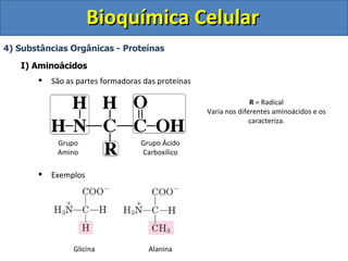 Bioquímica Celular
4) Substâncias Orgânicas - Proteínas

   I) Aminoácidos
          São as partes formadoras das proteínas

                                                                  R = Radical
                                                    Varia nos diferentes aminoácidos e os
                                                                  caracteriza.

            Grupo                  Grupo Ácido
            Amino                  Carboxílico

          Exemplos




                 Glicina             Alanina
 