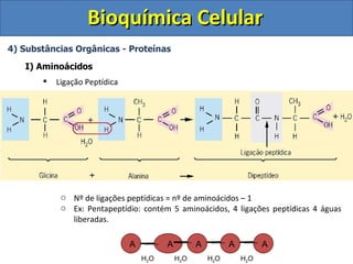 Bioquímica Celular
4) Substâncias Orgânicas - Proteínas

   I) Aminoácidos
          Ligação Peptídica




            o Nº de ligações peptídicas = nº de aminoácidos – 1
            o Ex: Pentapeptídio: contém 5 aminoácidos, 4 ligações peptídicas 4 águas
              liberadas.

                               A         A         A         A         A
                                   H2O       H2O       H2O       H2O
 