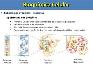 Bioquímica Celular
4) Substâncias Orgânicas - Proteínas

   II) Estrutura das proteínas
            Primária: Linear, aminoácidos mantidos pelas ligações peptídicas
            Secundária: Estrutura helicoidal
            Terciária: Enovelamento da estrutura helicoidal
            Quaternária: Agregação de duas ou mais cadeias polipeptídicas enoveladas




 Estrutura        Estrutura                Estrutura                      Estrutura
  Primária       Secundária                Terciária                     Quaternária
 