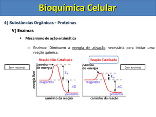 Bioquímica Celular




Sem enzimas                        Com enzimas
 