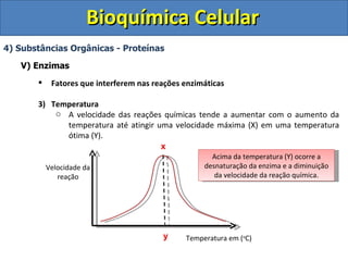 Bioquímica Celular
4) Substâncias Orgânicas - Proteínas

   V) Enzimas
           Fatores que interferem nas reações enzimáticas

       3) Temperatura
           o A velocidade das reações químicas tende a aumentar com o aumento da
             temperatura até atingir uma velocidade máxima (X) em uma temperatura
             ótima (Y).
                                      x
                                                      Acima da temperatura (Y) ocorre a
           Velocidade da                            desnaturação da enzima e a diminuição
              reação                                   da velocidade da reação química.




                                         y     Temperatura em (oC)
 