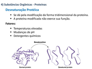 Aula de Bioquímica Resumida-completa.pdf