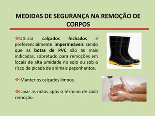 MEDIDAS DE SEGURANÇA NA REMOÇÃO DE
CORPOS
❖Utilizar calçados fechados e
preferencialmente impermeáveis sendo
que as botas de PVC são as mais
indicadas, sobretudo para remoções em
locais de alta umidade no solo ou sob o
risco de picada de animais peçonhentos.
❖ Manter os calçados limpos.
❖Lavar as mãos após o término de cada
remoção.
 