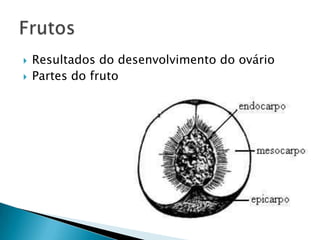    Resultados do desenvolvimento do ovário
   Partes do fruto
 