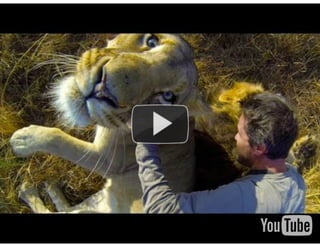 Aula de branding - 6 horas