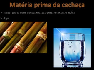 • Feita de cana de açúcar, planta da família das gramíneas, originária da Ásia.
• Água.
 