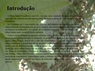 Introdução A Mata Santa Genebra é uma UC, ou seja, uma  unidade de conservação e tem sua zona de amortecimento abrangendo Paulínia e parte da  zona rural e urbana  de Campinas. As Unidades de Conservação são porções delimitadas do território nacional especialmente protegidas por lei pois contém elementos naturais de importância ecológica ou ambiental. Em geral, ao se definir uma área a ser protegida, são observadas suas características naturais. Com a atual situação ocupações urbanas sobre  APPs (Áreas de preservação permanente protegidas por lei federal), os produtores de água ( nascentes, córregos, lagos, olhos d'agua, brejos etc.)  não são respeitados e tem sido degradados de forma contínua, a possibilidade de também protegermos os corredores migratórios desta zona de amortecimento, pode se tornar um  instrumento importante  de proteção para outras matas em degradação, abandonadas hoje à própria sorte. Por ex: Mata do Quilombo, Várzeas do Recanto Yara, várzeas e lagos da Fazenda Rio das Pedras, Mata São Vicente ( terceira maior mata de Campinas) e os respectivos corredores migratórios, importantes para o trânsito de animais de médio porte que ainda transitam pela região em busca de alimento, abrigo e da necessária  troca gênica. 