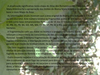 A atualização significativa nesta etapa do Atlas dos Remanescentes Florestais da Mata Atlântica foi a apropriação dos limites do Bioma Mata Atlântica tendo como base o novo Mapa da Área. As informações atuais mostram que a área original do Bioma está reduzida a 7,91%, ou 102.012 km2. Este número totaliza os fragmentos acima de 100 hectares, ou 1km2, e têm como base remanescentes florestais de 16 dos 17 Estados onde ocorre (AL, PE, SE, RN, CE, PB, BA, GO, MS, MG, ES, RJ, SP, PR, SC e RS), que totalizam 128.898.971 hectares. A fragmentação cada vez maior no bioma e a pressão das cidades sobre a floresta reforçam a importância da conscientização das pessoas e dos esforços na restauração florestal. Devido à extrema fragmentação de alguns trechos, principalmente nas regiões interioranas, a interligação entre as florestas nativas torna-se primordial para garantir a proteção da biodiversidade, da água e do clima nestas regiões. Um fator negativo dessas “ilhas verdes” localizadas ao lado da área urbana é os efeitos da poluição sonora e visual. Como conseqüência disso, os animais acabam fugindo da borda da floresta e se refugiando no interior da mata. Outro impacto negativo é a localização do canavial ao lado da mata. Os fazendeiros têm o costume de atear fogo no canavial para diminuir a quantidade de água da cana para aumentar a quantidade de sacarose e consequentimente, a produtividade. Além disso, a falta de consciência da população com o meio ambiente acaba gerando focos constantes de incêndio próximo a floresta. 