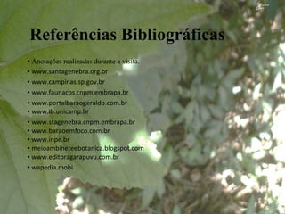 Referências Bibliográficas •  Anotações realizadas durante a visita. •  www.santagenebra.org.br •  www.campinas.sp.gov.br •  www.faunacps.cnpm.embrapa.br •  www.portalbaraogeraldo.com.br •  www.ib.unicamp.br •  www.stagenebra.cnpm.embrapa.br •  www.baraoemfoco.com.br •  www.inpe.br •  meioambineteebotanica.blogspot.com •  www.editoragarapuvu.com.br •  wapedia.mobi  