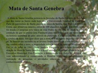 Mata de Santa Genebra A Mata de Santa Genebra pertencia às fazendas do Barão Geraldo de Resende, que deu nome ao bairro onde hoje está a Universidade Estadual de Campinas. Parte do patrimônio do Barão passou às mãos da família José Pedro de Oliveira Costa, que preservou intactos cerca de 100 alqueires da mata. Em 1981, a área foi doada a Campinas pela viúva de José Pedro de Oliveira, D. Jandyra, com a condição de que se criasse uma Fundação para mantê-la e com um texto inédito na história ambiental do país: através da prefeitura, Campinas recebeu da viúva a sombra da mata. Isto quer dizer que a mata só é da cidade enquanto estiver em pé. Se houver um incêndio ou as árvores forem derrubadas e não lançarem mais sua sombra sobre a terra, a propriedade volta às mãos da família Oliveira Costa. Em 14 de julho de 1981, Dona Jandyra Pamplona de Oliveira formalizou a doação da Mata de Santa Genebra a uma Fundação Municipal criada pelo Poder Executivo Municipal. Esta Fundação, e denominada José Pedro de Oliveira, que vem administrando e conservando a Reserva Municipal, possibilitando a realização de pesquisas e atividades educativas em várias áreas do conhecimento biológico. 