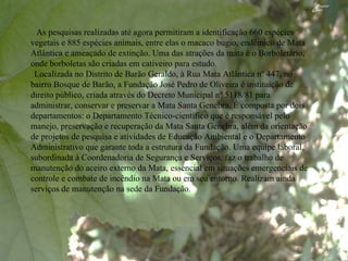   As pesquisas realizadas até agora permitiram a identificação 660 espécies vegetais e 885 espécies animais, entre elas o macaco bugio, endêmico de Mata Atlântica e ameaçado de extinção. Uma das atrações da mata é o Borboletário, onde borboletas são criadas em cativeiro para estudo. Localizada no Distrito de Barão Geraldo, à Rua Mata Atlântica nº 447, no bairro Bosque de Barão, a Fundação José Pedro de Oliveira é instituição de direito público, criada através do Decreto Municipal nº 5118/81 para administrar, conservar e preservar a Mata Santa Genebra. É composta por dois departamentos: o Departamento Técnico-científico que é responsável pelo manejo, preservação e recuperação da Mata Santa Genebra, além da orientação de projetos de pesquisa e atividades de Educação Ambiental e o Departamento Administrativo que garante toda a estrutura da Fundação. Uma equipe laboral, subordinada à Coordenadoria de Segurança e Serviços, faz o trabalho de manutenção do aceiro externo da Mata, essencial em situações emergenciais de controle e combate de incêndio na Mata ou em seu entorno. Realizam ainda serviços de manutenção na sede da Fundação. 