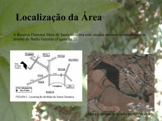 Localização da Área A Reserva Florestal Mata de Santa Genebra está situada em área urbana dentro do distrito de Barão Geraldo (Figura 1e 2). Figura 2: localização da mata por foto de satélite. 