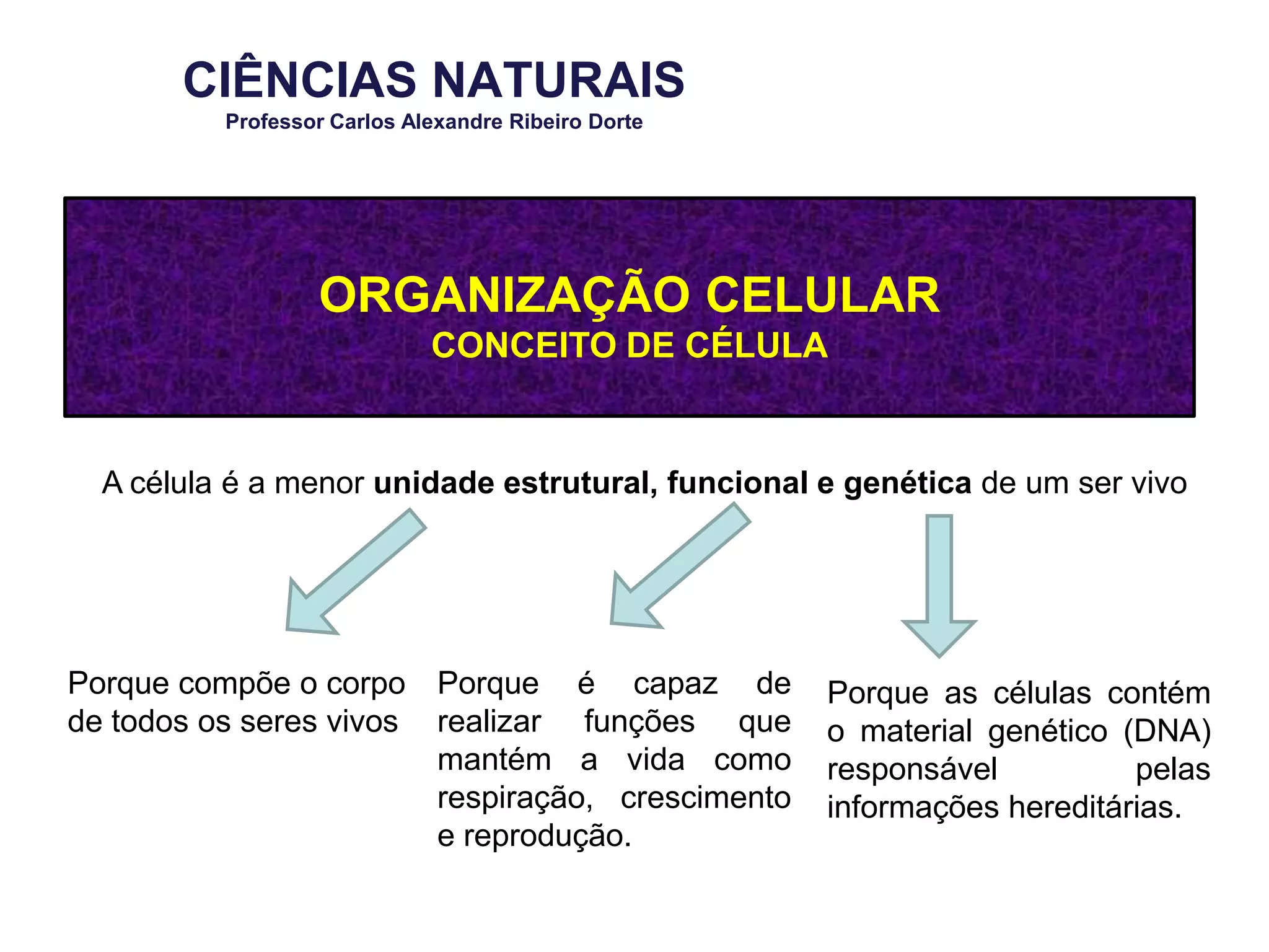 Características gerais dos seres vivos | PPT