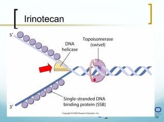 Irinotecan




             33
 