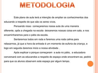 Trocar informações e experiências com o grande grupo por meio de atividades pedagógicas;