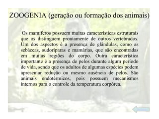 ZOOGENIA (geração ou formação dos animais)

    Os mamíferos possuem muitas características estruturais
   que os distinguem prontamente de outros vertebrados.
   Um dos aspectos é a presença de glândulas, como as
   sebáceas, sudoríparas e mamárias, que são encontradas
   em muitas regiões do corpo. Outra característica
   importante é a presença de pelos durante algum período
   de vida, sendo que os adultos de algumas espécies podem
   apresentar redução ou mesmo ausência de pelos. São
   animais endotérmicos, pois possuem mecanismos
   internos para o controle da temperatura corpórea.



                                                          índice
 