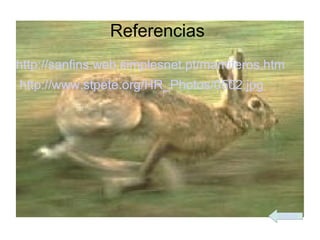 Referencias
http://sanfins.web.simplesnet.pt/mamiferos.htm
http://www.stpete.org/HR_Photos/0502.jpg




                                            índice
 