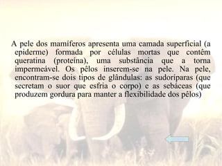 A pele dos mamíferos apresenta uma camada superficial (a
 epiderme) formada por células mortas que contêm
 queratina (proteína), uma substância que a torna
 impermeável. Os pêlos inserem-se na pele. Na pele,
 encontram-se dois tipos de glândulas: as sudoríparas (que
 secretam o suor que esfria o corpo) e as sebáceas (que
 produzem gordura para manter a flexibilidade dos pêlos)




                                              índice
 