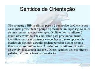 Sentidos de Orientação

Não somente a Bíblia afirma, porém é conhecido da Ciência que
os animais pressentem o perigo e procuram um lugar seguro antes
de uma tempestade, por exemplo. O olfato dos mamíferos é
muito desenvolvido. Ele é utilizado para procurar alimento,
identificar outros organismos e reconhecer o sexo oposto. Os
machos de algumas espécies podem perceber o odor de uma
fêmea a vários quilômetros. A visão dos mamíferos não é tão
desenvolvida quanto a das aves. Outros sentidos dos mamíferos:
paladar, tato, audição.os de orientação


                                                        índice
 