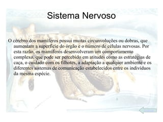 Sistema Nervoso

O cérebro dos mamíferos possui muitas circunvoluções ou dobras, que
  aumentam a superfície do órgão e o número de células nervosas. Por
  esta razão, os mamíferos desenvolveram um comportamento
  complexo, que pode ser percebido em atitudes como as estratégias de
  caça, o cuidado com os filhotes, a adaptação a qualquer ambiente e os
  diferentes sistemas de comunicação estabelecidos entre os indivíduos
  da mesma espécie.




                                                                   índice
 