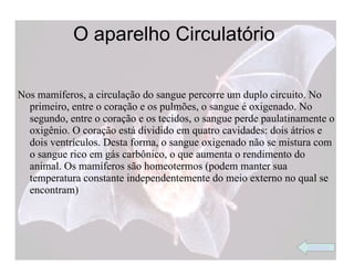O aparelho Circulatório

Nos mamíferos, a circulação do sangue percorre um duplo circuito. No
  primeiro, entre o coração e os pulmões, o sangue é oxigenado. No
  segundo, entre o coração e os tecidos, o sangue perde paulatinamente o
  oxigênio. O coração está dividido em quatro cavidades: dois átrios e
  dois ventrículos. Desta forma, o sangue oxigenado não se mistura com
  o sangue rico em gás carbônico, o que aumenta o rendimento do
  animal. Os mamíferos são homeotermos (podem manter sua
  temperatura constante independentemente do meio externo no qual se
  encontram)




                                                                 índice
 