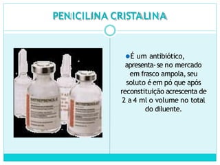 PEN ICILINA CRISTALINA
⚫É um antibiótico,
apresenta-se no mercado
em frasco ampola,seu
soluto é em pó que após
reconstituição acrescenta de
2 a 4 ml o volume no total
do diluente.
 