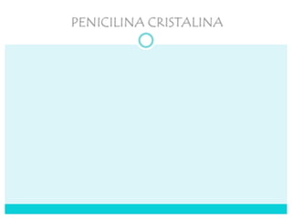 PENICILINA CRISTALINA
Penicilina
Cristalina
1.000.000
Diluir em 8 ml Ad+
2ml de pó = 10ml
Acrescenta 2 ml no
volume do diluente
Penicilina
Cristalina
5.000.000
Diluir em 8 ml
Ad+ 2ml de pó =
10ml
Acrescenta 2 ml
no volume do
diluente
Penicilina
Cristalina
10.000.000
Diluir em 16 ml
Ad+ 4ml de pó =
20ml
Acrescenta 4 ml
no volume do
diluente
 