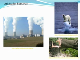 Atividades humanas
http://climasdomundo.blogspot.com.br/
http://agfdag.wordpress.com/page/4/
http://ambiente.hsw.uol.com.br/desmatamento.htm
 