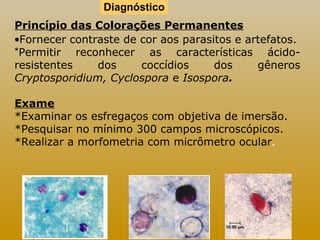 Diagnóstico 
Princípio das Colorações Permanentes 
·Fornecer contraste de cor aos parasitos e artefatos. 
*Permitir reconhecer as características ácido-resistentes 
dos coccídios dos gêneros 
Cryptosporidium, Cyclospora e Isospora. 
Exame 
*Examinar os esfregaços com objetiva de imersão. 
*Pesquisar no mínimo 300 campos microscópicos. 
*Realizar a morfometria com micrômetro ocular. 
 