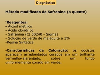 Diagnóstico 
Método modificado da Safranina (a quente) 
*Reagentes: 
- Álcool metílico 
- Ácido clorídrico 
- Safranina (CI 50240 - Sigma) 
- Solução de verde de malaquita a 3% 
-Resina Sintética 
-Características da Coloração: os oocistos 
aparecem arredondados corados em um brilhante 
vermelho-alaranjado, sobre um fundo 
uniformemente corado em verde. 
 