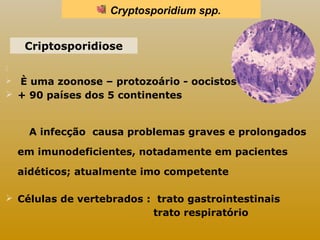 Cryptosporidium spp. 
 
 È uma zoonose – protozoário - oocistos 
 + 90 países dos 5 continentes 
A infecção causa problemas graves e prolongados 
em imunodeficientes, notadamente em pacientes 
aidéticos; atualmente imo competente 
 Células de vertebrados : trato gastrointestinais 
trato respiratório 
Criptosporidiose 
 