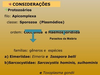 CONSIDERAÇÕES 
Protozoários 
filo: Apicomplexa 
classe: Sporozoa (Plasmódios) 
ordem: Coccidiida e Haemosporidiida 
Parasitos da Malária 
famílias: gêneros e espécies 
a) Eimeriidae: Eimeria e Isospora belli 
b)Sarcocystidae: Sarcocystis hominis, suihominis 
e Toxoplasma gondii 
 