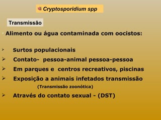 Cryptosporidium spp 
TTrraannssmmiissssããoo 
 Alimento ou água contaminada com oocistos: 
 Surtos populacionais 
 Contato- pessoa-animal pessoa-pessoa 
 Em parques e centros recreativos, piscinas 
 Exposição a animais infetados transmissão 
(Transmissão zoonótica) 
 Através do contato sexual - (DST) 
 
