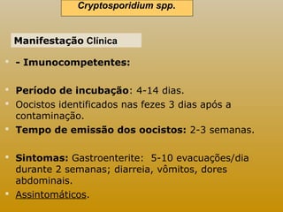 Cryptosporidium spp.. 
Manifestação Clínica 
 - Imunocompetentes: 
 Período de incubação: 4-14 dias. 
 Oocistos identificados nas fezes 3 dias após a 
contaminação. 
 Tempo de emissão dos oocistos: 2-3 semanas. 
 Sintomas: Gastroenterite: 5-10 evacuações/dia 
durante 2 semanas; diarreia, vômitos, dores 
abdominais. 
 Assintomáticos. 
 