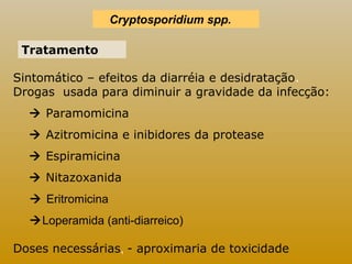 Cryptosporidium spp. 
Tratamento 
Sintomático – efeitos da diarréia e desidratação. 
Drogas usada para diminuir a gravidade da infecção: 
 Paramomicina 
 Azitromicina e inibidores da protease 
 Espiramicina 
 Nitazoxanida 
 Eritromicina 
Loperamida (anti-diarreico) 
Doses necessárias, - aproximaria de toxicidade 
 