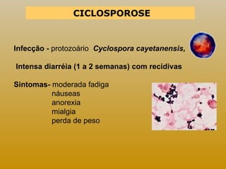 CICLOSPOROSE 
Infecção - protozoário Cyclospora cayetanensis, 
Intensa diarréia (1 a 2 semanas) com recidivas 
Sintomas- moderada fadiga 
náuseas 
anorexia 
mialgia 
perda de peso 
 